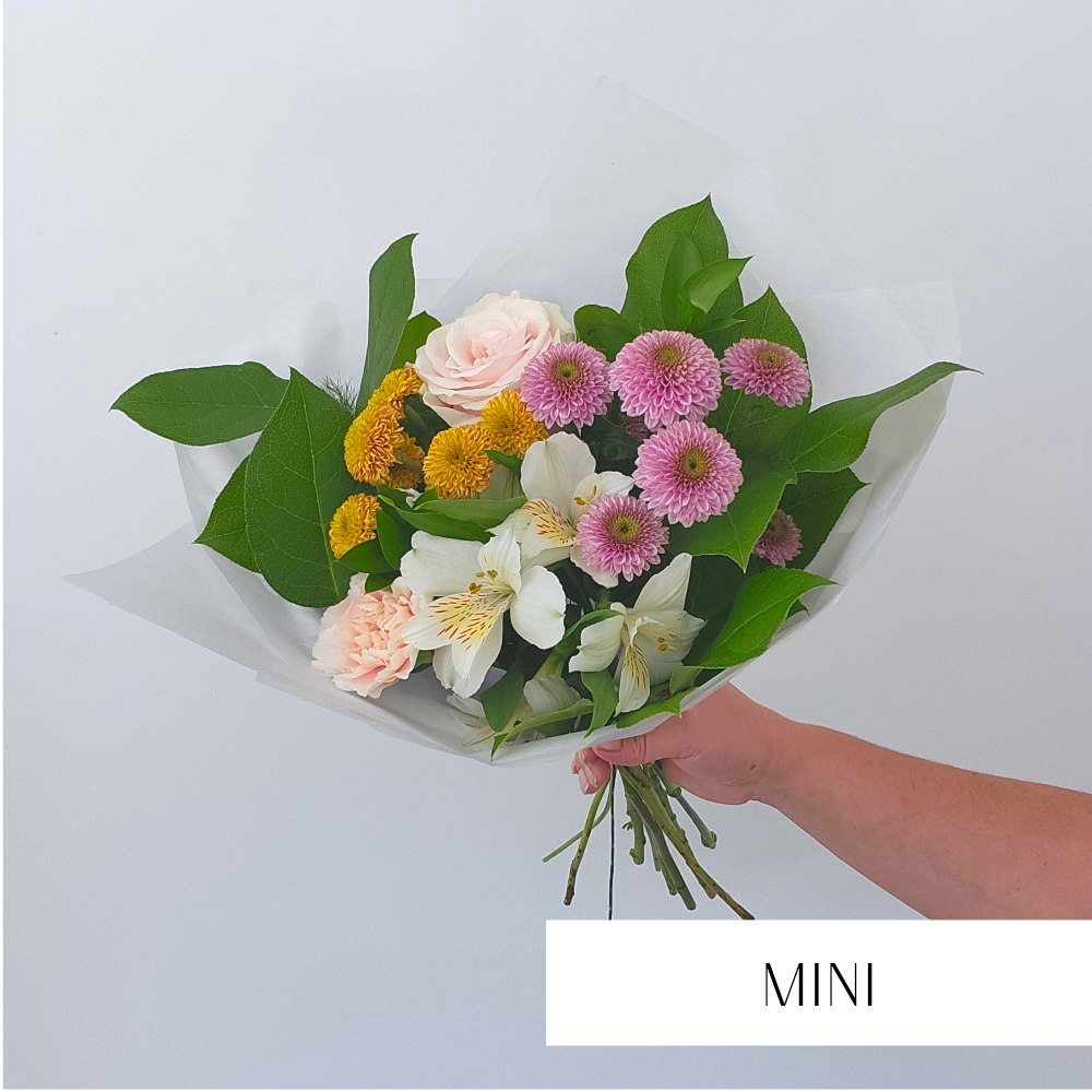 Signature BLOMM
