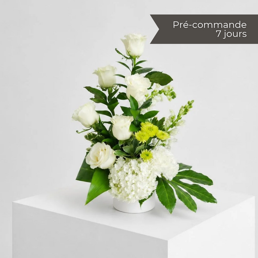 Élodie (vase)